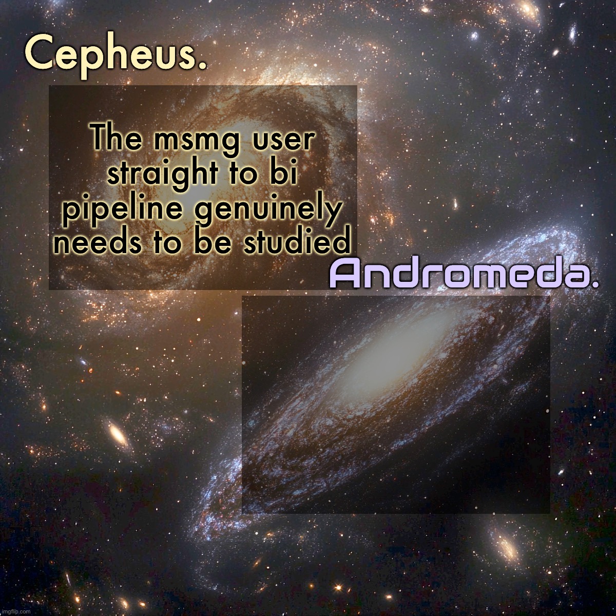 Silver and virian's shared announcement temp | The msmg user straight to bi pipeline genuinely needs to be studied | image tagged in silver and virian's shared announcement temp | made w/ Imgflip meme maker