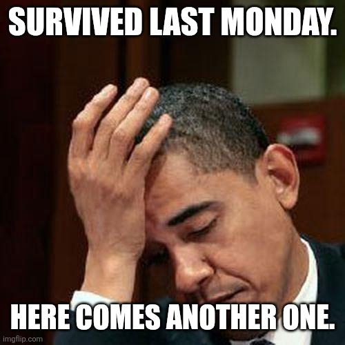 Obama Facepalm 250px | SURVIVED LAST MONDAY. HERE COMES ANOTHER ONE. | image tagged in obama facepalm 250px,monday,i hate mondays,memes,funny | made w/ Imgflip meme maker