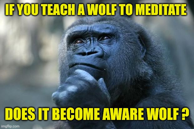 Deep Thoughts | IF YOU TEACH A WOLF TO MEDITATE; DOES IT BECOME AWARE WOLF ? | image tagged in deep thoughts | made w/ Imgflip meme maker