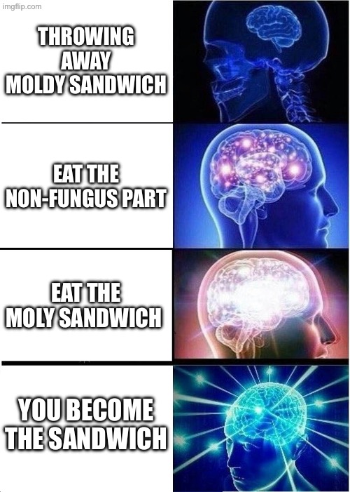 Expanding Brain | THROWING AWAY MOLDY SANDWICH; EAT THE NON-FUNGUS PART; EAT THE MOLY SANDWICH; YOU BECOME THE SANDWICH | image tagged in memes,expanding brain | made w/ Imgflip meme maker