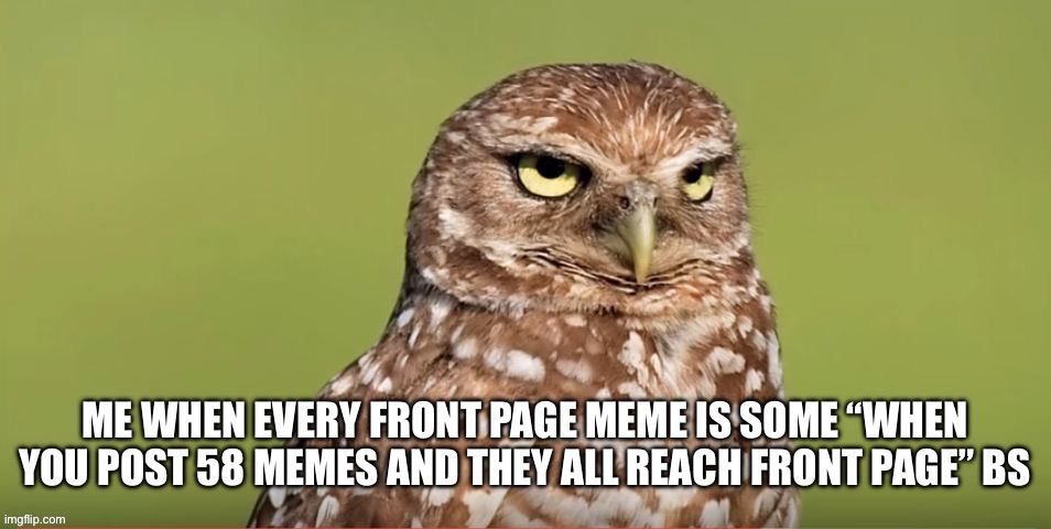 Am I the only one who feels this way? | image tagged in relatable,deadass | made w/ Imgflip meme maker