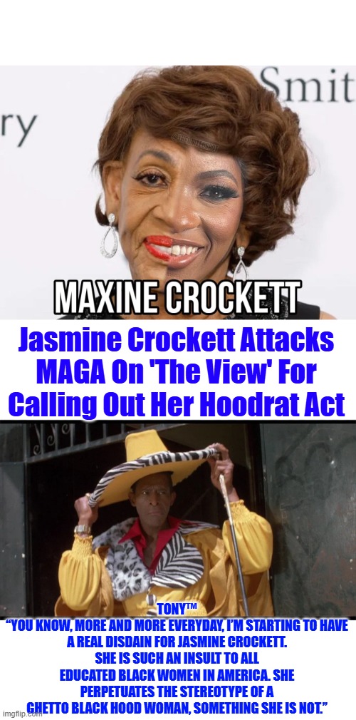 Jasmine Crockett Attacks MAGA On 'The View' For Calling Out Her Hoodrat Act; TONY™
“YOU KNOW, MORE AND MORE EVERYDAY, I’M STARTING TO HAVE A REAL DISDAIN FOR JASMINE CROCKETT. SHE IS SUCH AN INSULT TO ALL EDUCATED BLACK WOMEN IN AMERICA. SHE PERPETUATES THE STEREOTYPE OF A GHETTO BLACK HOOD WOMAN, SOMETHING SHE IS NOT.” | made w/ Imgflip meme maker