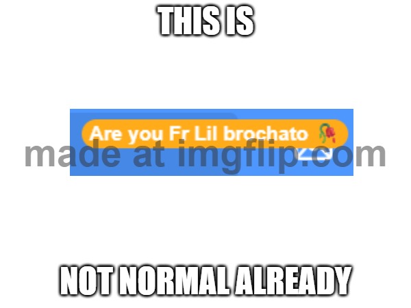 What the hell? | THIS IS; NOT NORMAL ALREADY | image tagged in not normal,how,brochato,scratch | made w/ Imgflip meme maker