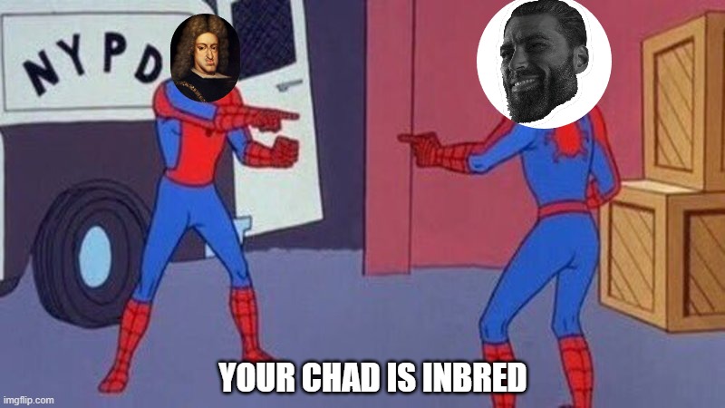 spiderman pointing at spiderman | YOUR CHAD IS INBRED | image tagged in spiderman pointing at spiderman,chad,inbred | made w/ Imgflip meme maker