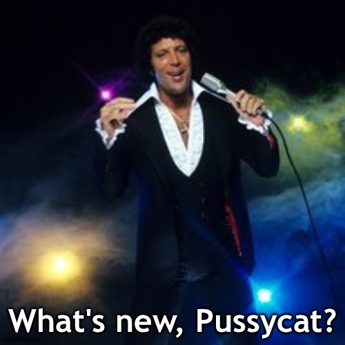 What's new, Pussycat? | image tagged in tom jones singing | made w/ Imgflip meme maker