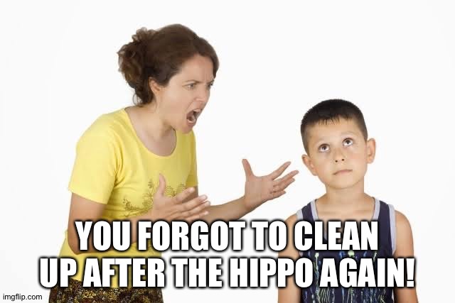 YOU FORGOT TO CLEAN UP AFTER THE HIPPO AGAIN! | image tagged in mom shouting to child | made w/ Imgflip meme maker