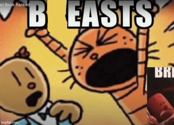 BREAST | image tagged in breast | made w/ Imgflip meme maker