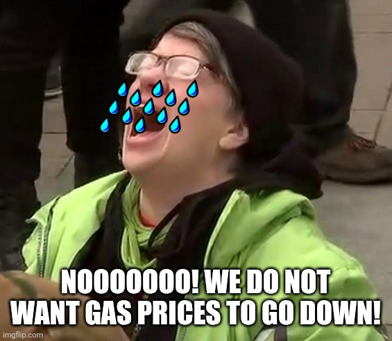 Crying liberal | NOOOOOOO! WE DO NOT WANT GAS PRICES TO GO DOWN! | image tagged in crying liberal | made w/ Imgflip meme maker