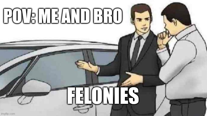 idk | POV: ME AND BRO; FELONIES | image tagged in memes,car salesman slaps roof of car | made w/ Imgflip meme maker