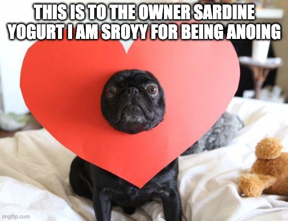 Love pug | THIS IS TO THE OWNER SARDINE YOGURT I AM SROYY FOR BEING ANOING | image tagged in love pug | made w/ Imgflip meme maker