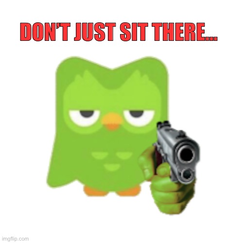 Practice your DuoLingo | DON’T JUST SIT THERE… | image tagged in duolingo,funny | made w/ Imgflip meme maker