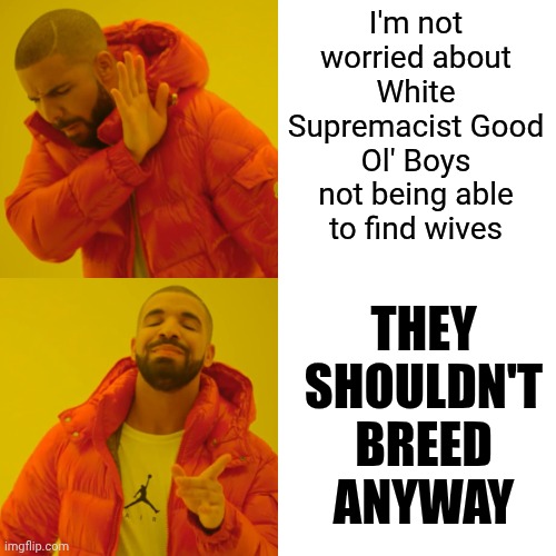 Lonely Ol' Nights | I'm not worried about White Supremacist Good Ol' Boys not being able to find wives; THEY SHOULDN'T BREED ANYWAY | image tagged in memes,drake hotline bling,white supremacists,abusive men,maga,trump unfit unqualified dangerous | made w/ Imgflip meme maker