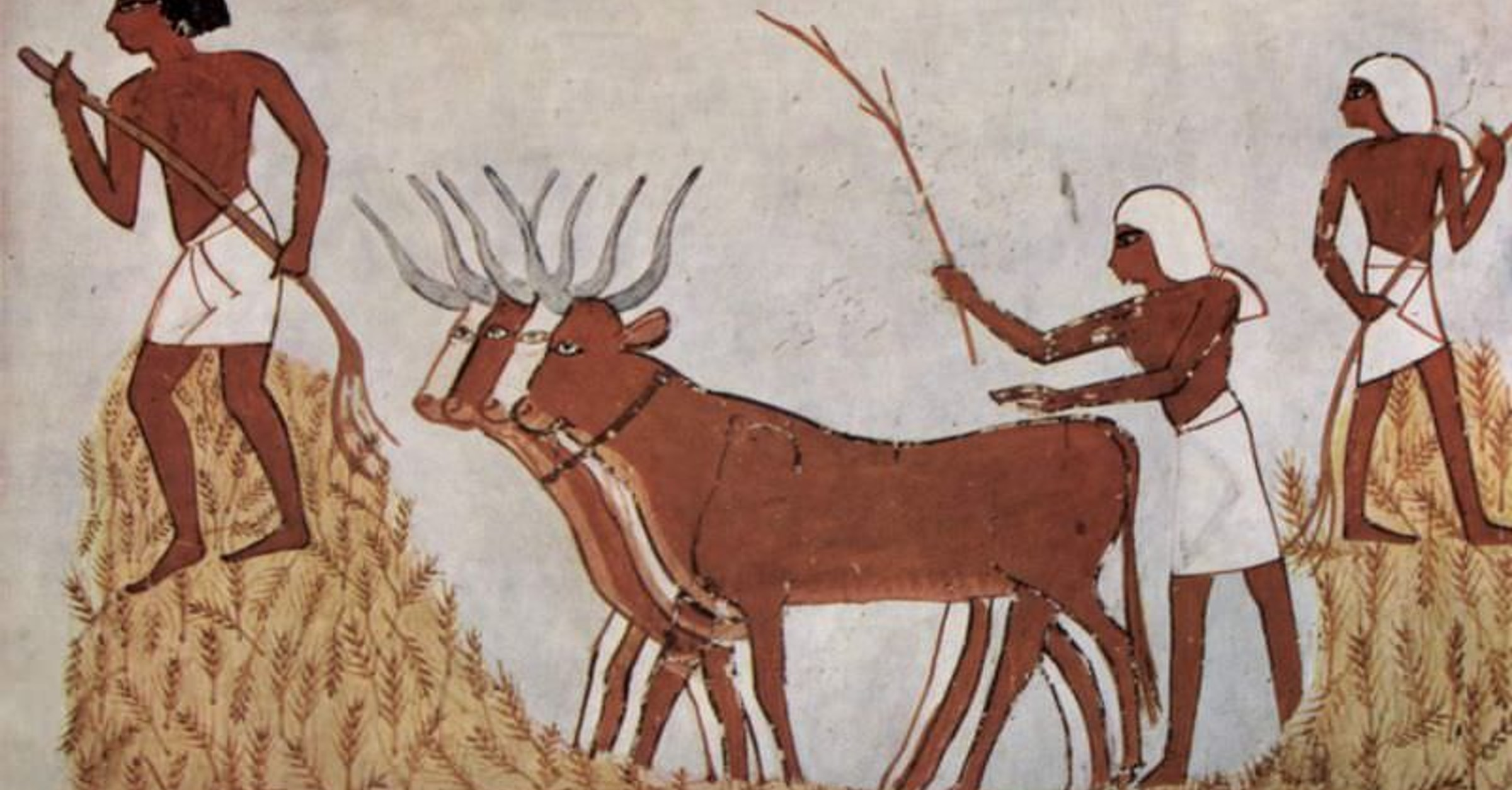 High Quality Egyptians Blank Meme Template