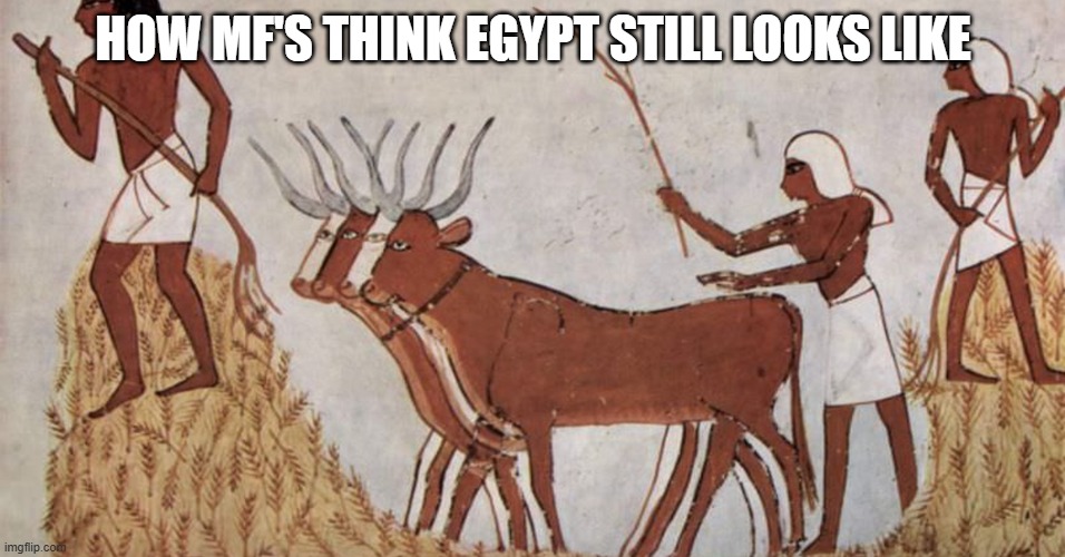 Egyptians | HOW MF'S THINK EGYPT STILL LOOKS LIKE | image tagged in egyptians | made w/ Imgflip meme maker
