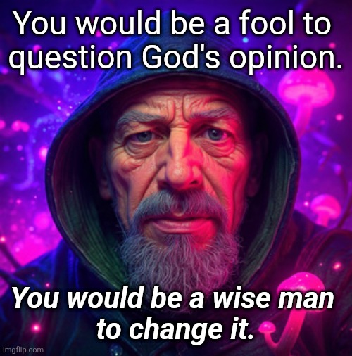 Just My Opinion | You would be a fool to 
question God's opinion. You would be a wise man 
to change it. | made w/ Imgflip meme maker