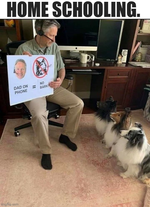 Home Schooling | HOME SCHOOLING. | image tagged in chrisjoines1 | made w/ Imgflip meme maker