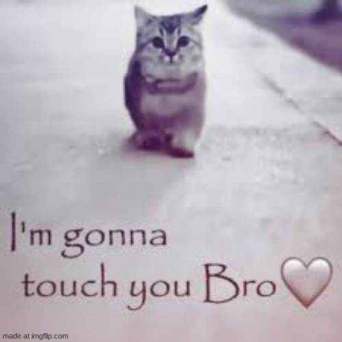 felt better after venting :) | image tagged in idk,memes | made w/ Imgflip meme maker