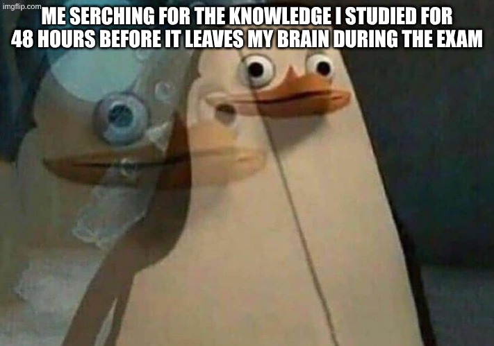 exams | ME SERCHING FOR THE KNOWLEDGE I STUDIED FOR 48 HOURS BEFORE IT LEAVES MY BRAIN DURING THE EXAM | image tagged in private penguin existential crisis,exams,memes,leaving | made w/ Imgflip meme maker