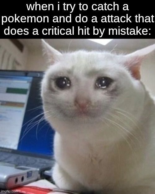 anyone else felt depressed for this | when i try to catch a pokemon and do a attack that does a critical hit by mistake: | image tagged in crying cat,memes,pokemon | made w/ Imgflip meme maker