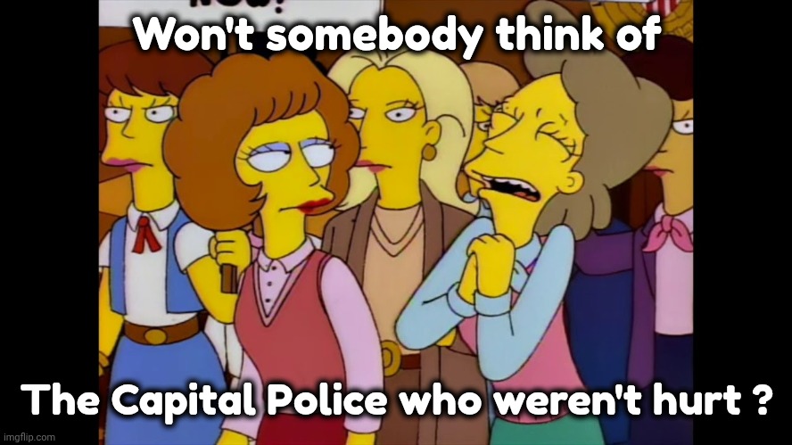 Won't somebody think of The Capital Police who weren't hurt ? | image tagged in won't somebody please think of the x | made w/ Imgflip meme maker