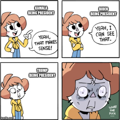 there was good people to vote for, but this country is full of morons, MORONS i tell you | KAMALA BEING PRESIDENT; BIDEN BEING PRESIDENT; TRUMP BEING PRESIDENT | image tagged in owlturd yeah that makes sense | made w/ Imgflip meme maker