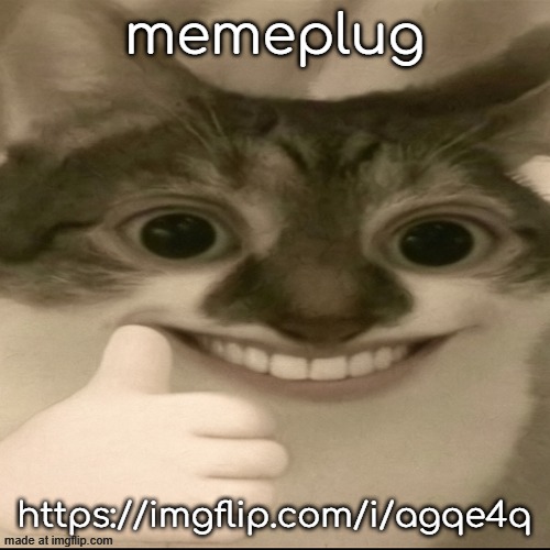 memeplug | memeplug; https://imgflip.com/i/agqe4q | image tagged in bombastic side eye cat v3 | made w/ Imgflip meme maker
