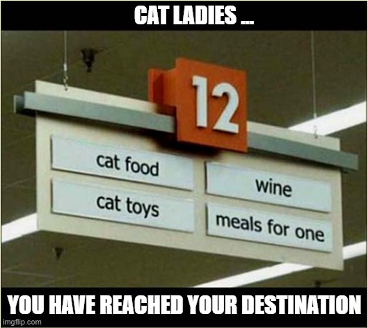 Looking For That Special Aisle ? | CAT LADIES ... YOU HAVE REACHED YOUR DESTINATION | image tagged in cats,cat lady,supermarket,destination | made w/ Imgflip meme maker