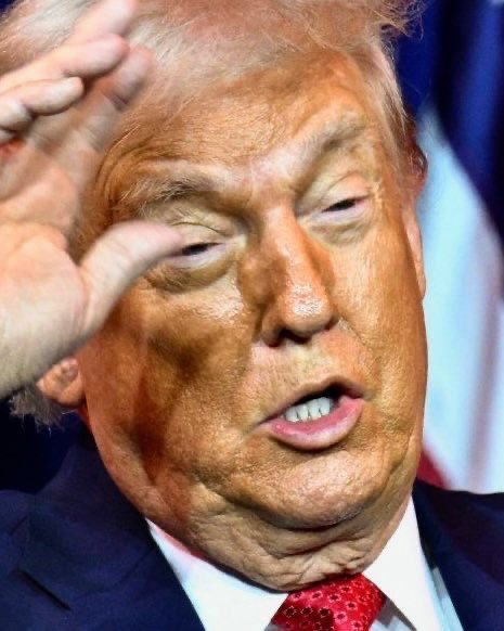 High Quality Trump is a rotting pumpkin Blank Meme Template