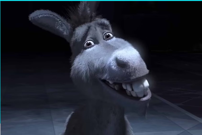 Donkey Blank Meme Template