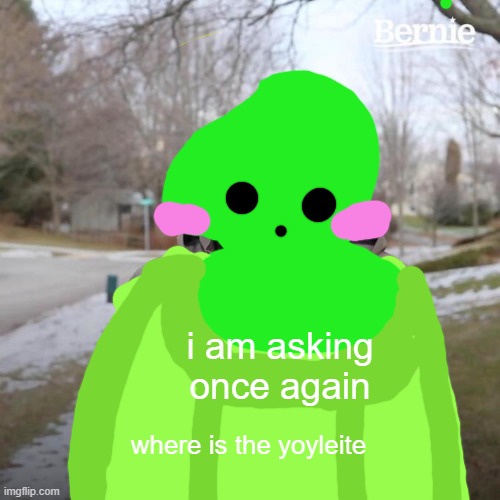 Bernie I Am Once Again Asking For Your Support | i am asking once again; where is the yoyleite | image tagged in memes,bernie i am once again asking for your support | made w/ Imgflip meme maker