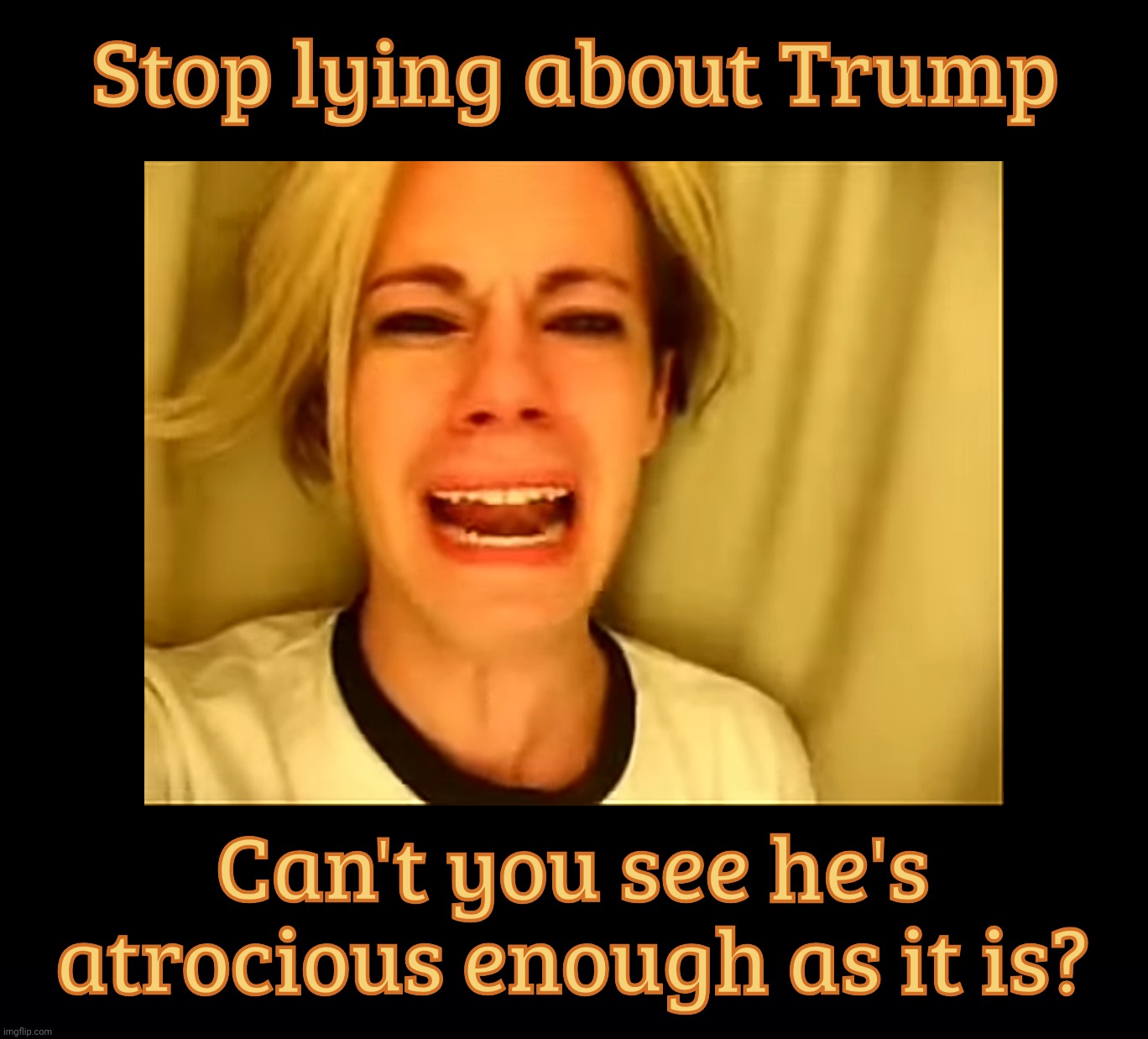 As if there's any room left to make up anything about Trump | Stop lying about Trump; Can't you see he's atrocious enough as it is? | image tagged in leave britney alone,stop harshing on trump,he's bad enough as is,it's all about the feelz,he has a bad hair day everyday,sad | made w/ Imgflip meme maker