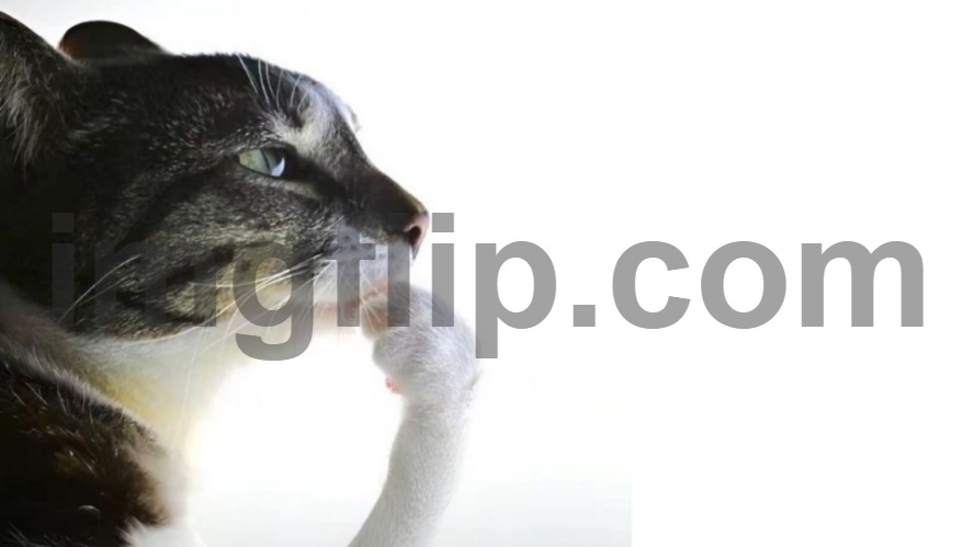 Thinker | image tagged in thinker | made w/ Imgflip meme maker