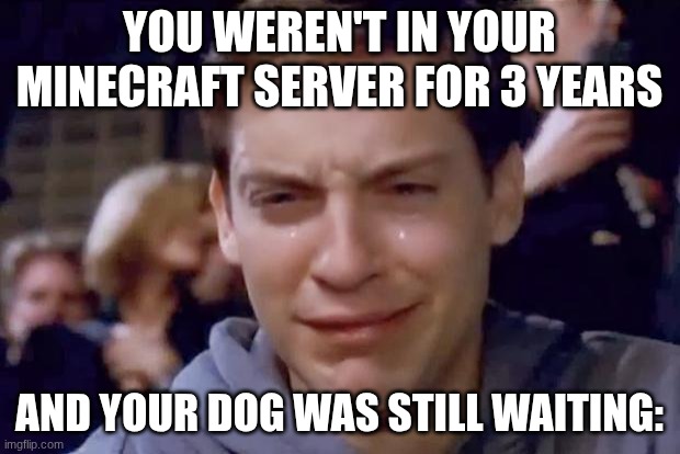 here comes the big sad | YOU WEREN'T IN YOUR MINECRAFT SERVER FOR 3 YEARS; AND YOUR DOG WAS STILL WAITING: | image tagged in tobey maguire crying | made w/ Imgflip meme maker