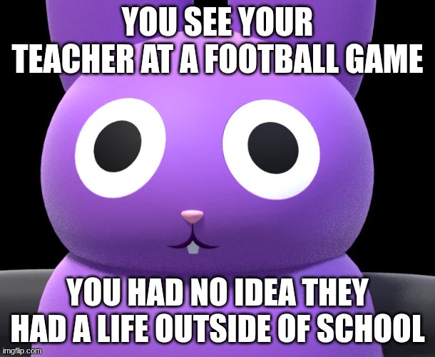 you had no idea | YOU SEE YOUR TEACHER AT A FOOTBALL GAME; YOU HAD NO IDEA THEY HAD A LIFE OUTSIDE OF SCHOOL | image tagged in nabbit staring | made w/ Imgflip meme maker