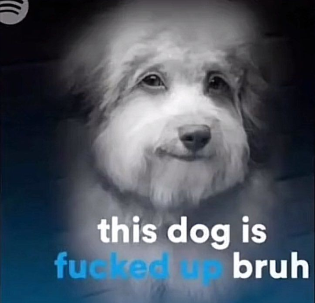 High Quality this dog is fucked up bruh Blank Meme Template