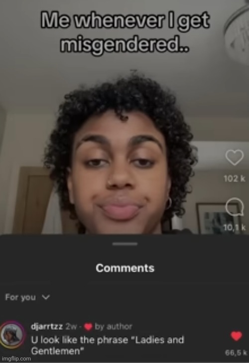 The people who hate getting misgendered are the ones who make it the hardest for people to gender them | image tagged in insult,funny,comments,gender,lgbtq,l | made w/ Imgflip meme maker