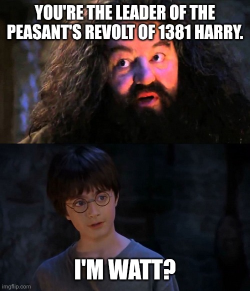 You are wizzard harry | YOU'RE THE LEADER OF THE PEASANT'S REVOLT OF 1381 HARRY. I'M WATT? | image tagged in you are wizzard harry | made w/ Imgflip meme maker