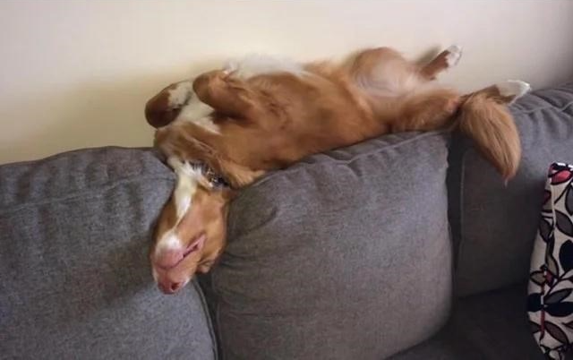 Chrisjoines1 Blank Meme Template