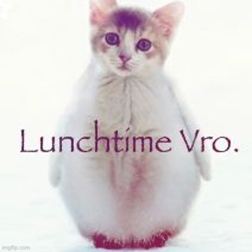 Lunchtime vro | image tagged in lunchtime vro | made w/ Imgflip meme maker
