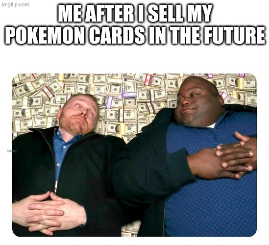 I collect | ME AFTER I SELL MY POKEMON CARDS IN THE FUTURE | image tagged in companies after inventing,pokemon,memes,stop reading the tags | made w/ Imgflip meme maker