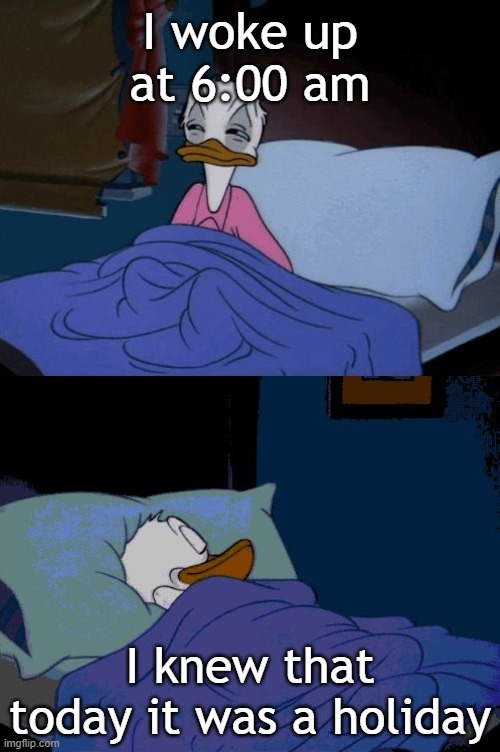 Meme 2 | I woke up at 6:00 am; I knew that today it was a holiday | image tagged in paperino dorme | made w/ Imgflip meme maker