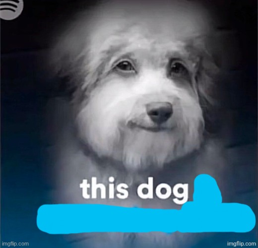 this dog | made w/ Imgflip meme maker