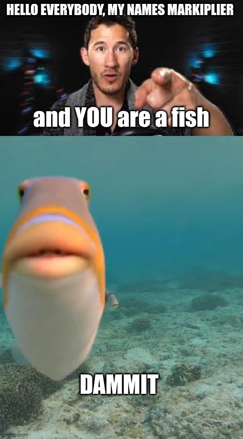 aw cmon | HELLO EVERYBODY, MY NAMES MARKIPLIER; and YOU are a fish; DAMMIT | image tagged in markiplier pointing,staring fish,oh come on | made w/ Imgflip meme maker