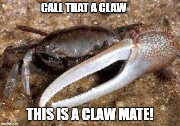 CALL THAT A CLAW THIS IS A CLAW MATE! | made w/ Imgflip meme maker