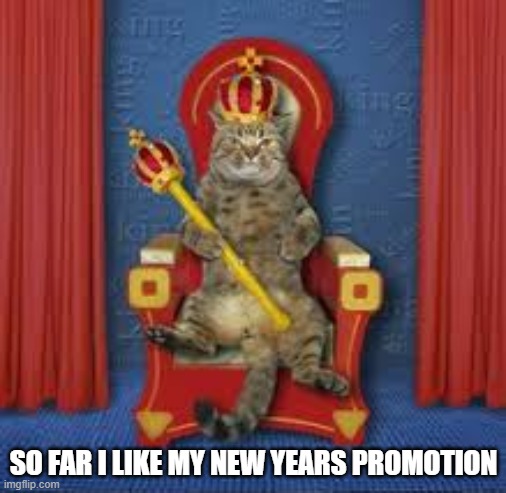 So far the cat likes his new years promotion !!    --  funny  -- | SO FAR I LIKE MY NEW YEARS PROMOTION | image tagged in cat,kittens,funny,humor,new year,happy new year | made w/ Imgflip meme maker