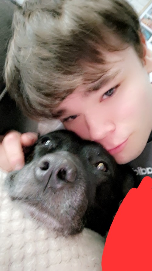 dog | made w/ Imgflip meme maker