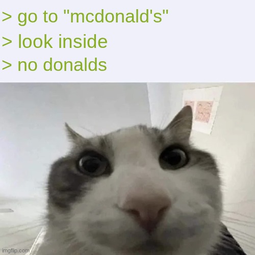 green text cat | > go to "mcdonald's"; > look inside; > no donalds | image tagged in green text cat | made w/ Imgflip meme maker