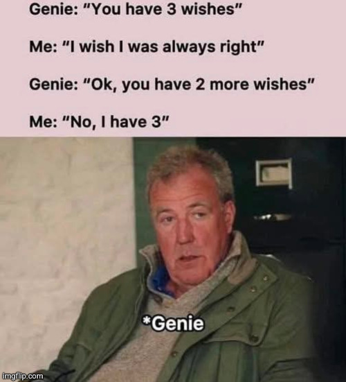 no I have four | image tagged in genie,memes | made w/ Imgflip meme maker