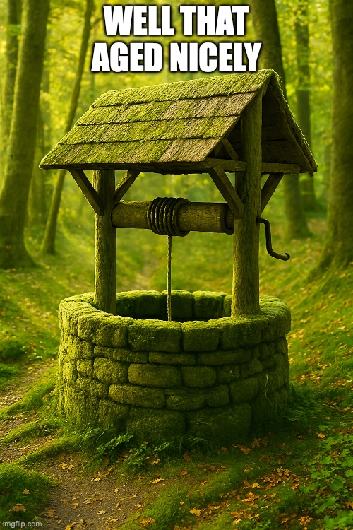 well that aged nicely | WELL THAT AGED NICELY | image tagged in well yes but actually no,fast food,password | made w/ Imgflip meme maker