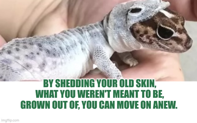 By shedding your old skin, what you weren't meant to be, grown out of, you can move on anew. | BY SHEDDING YOUR OLD SKIN, WHAT YOU WEREN'T MEANT TO BE, GROWN OUT OF, YOU CAN MOVE ON ANEW. | image tagged in shedding skin,autism,moving on,wellbeing,change,growth | made w/ Imgflip meme maker